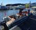 tuimelaar_-_2_-_20230907_135626_1.
